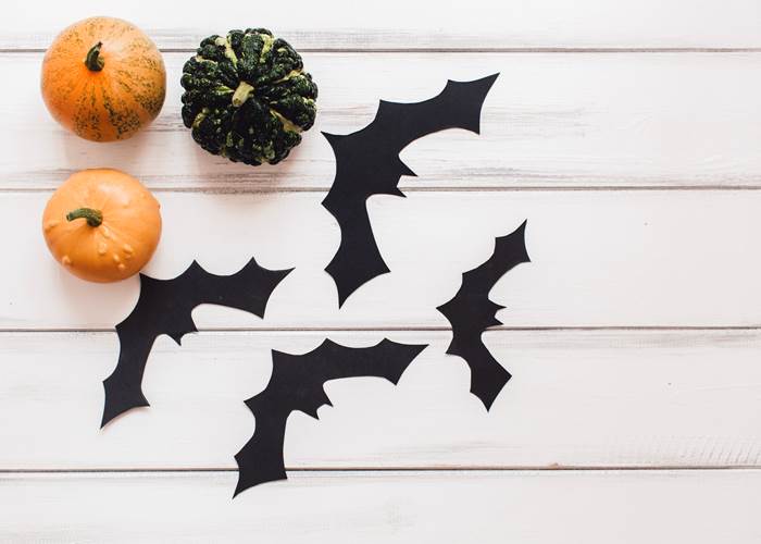 Atelier_chauves-souris_libre_de_droit