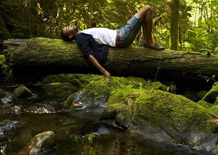 bien-être en forêt - se détendre au milieu des arbres au détour d'une ballade