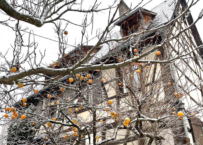 La cour Zaepffel