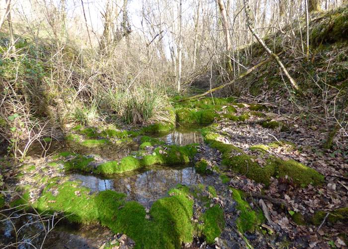 petit cours d'eau sur la boucle Avitus-page