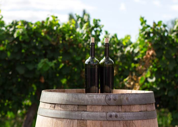 event_Degustation_bourgogne