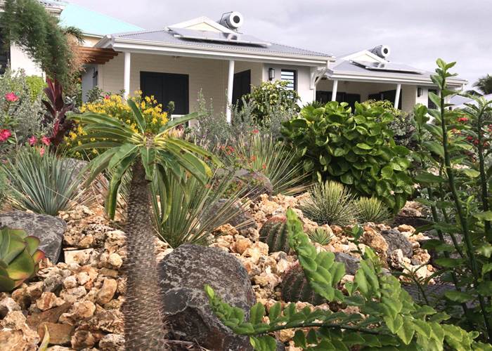 Sous ce jardin sec, la micro station d'épuration fait son œuvre et nourrit le jardin paysagé