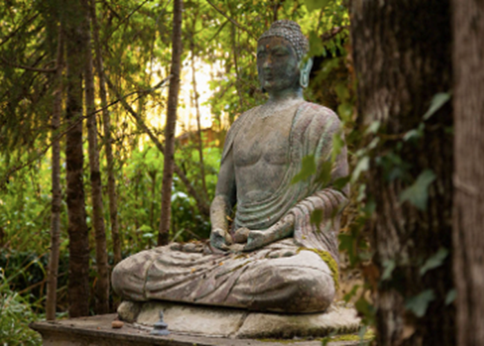 Méditation pleine conscience