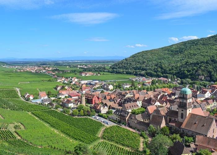 le vignoble d''Alsace