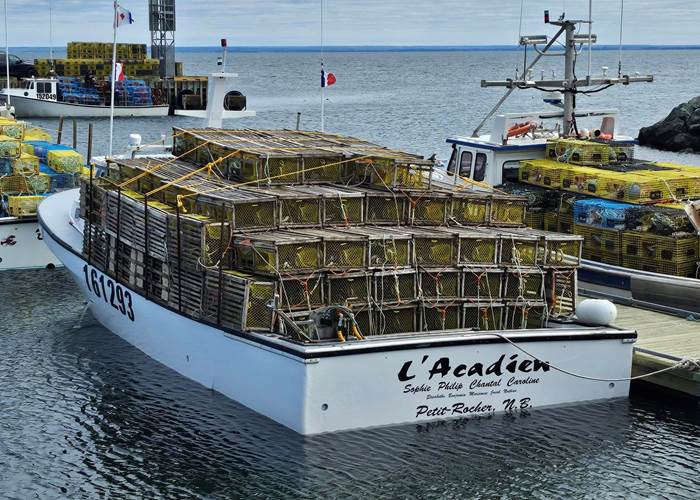 486284550_1834821890636429_8667130147580400153_n