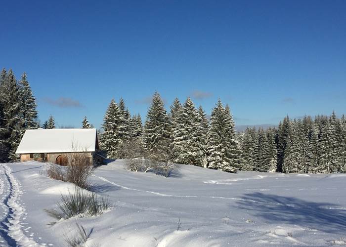 neige dans les Vosges-news