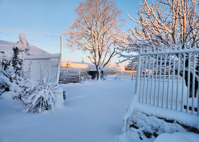 L'Enclos bleu sous la neige