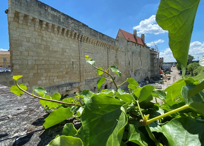 Remparts-Saint-Emilion-vin-vignoble-Bordelais