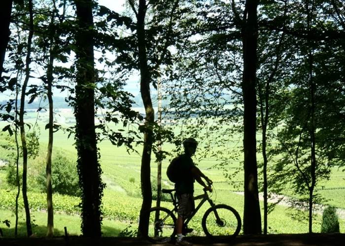 Visiter la Champagne à vélo-page
