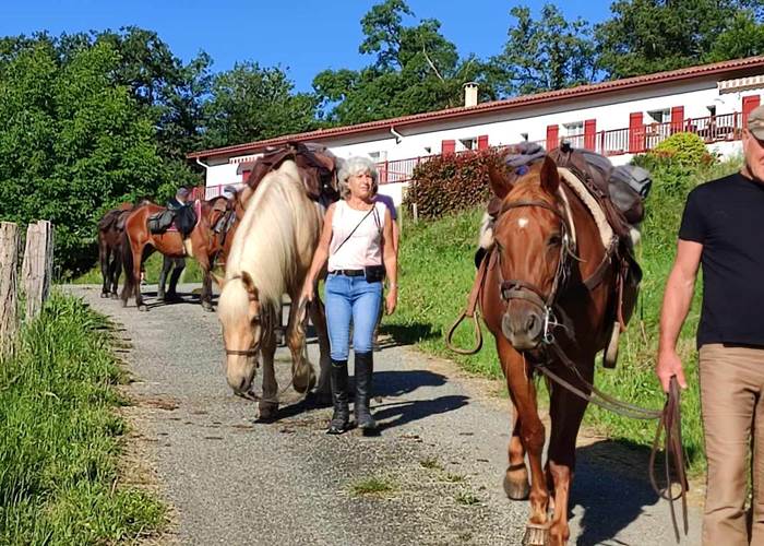 Compostelle Equestre Cavaliers