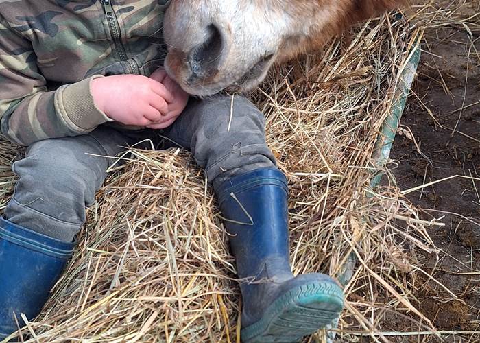 calins a son poney a la fin du stage