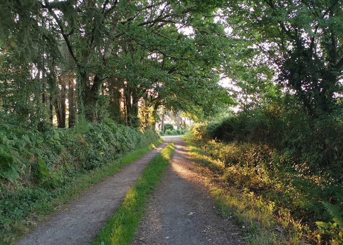Chemin de Mallabry, Orvault