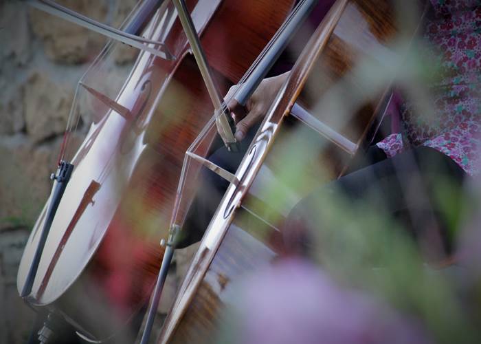 Petit concert impromptu au Broual