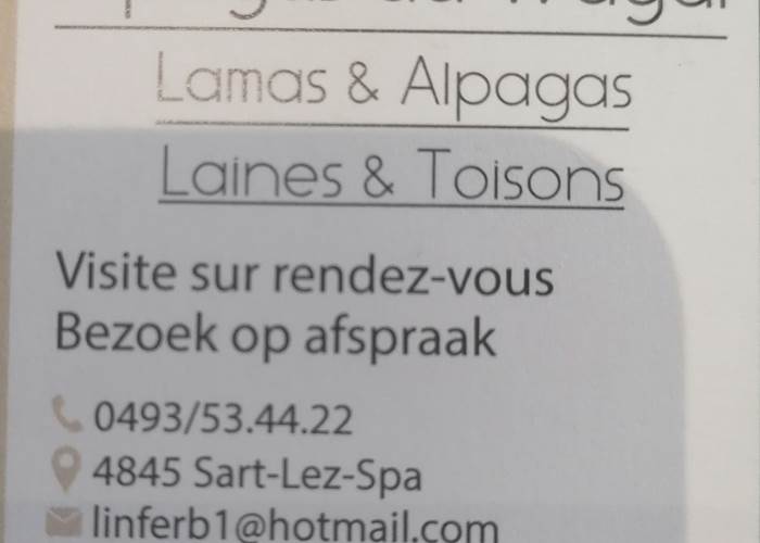 Infos pratiques
