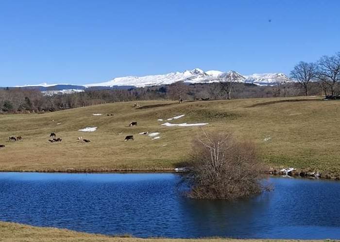 chambredhotes-plein-air-vues-sancy-puy-de-dôme