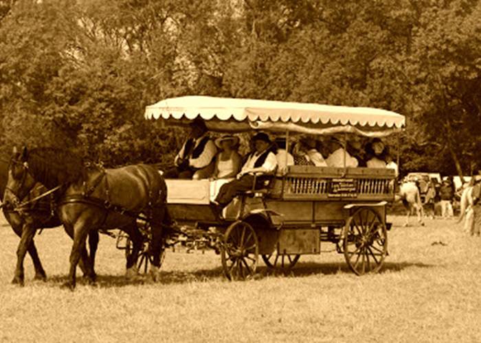 les calèches de Camargue au Cailar