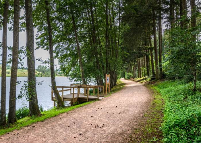 Le lac des sapins