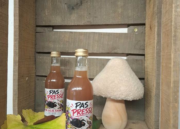 jus-de-raisin-bio-artisanal-pas-presse-clos-liebau-ribeauville.jpg