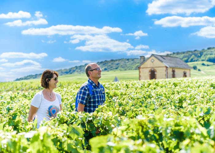 Prendre l'air dans le vignoble champenois-page