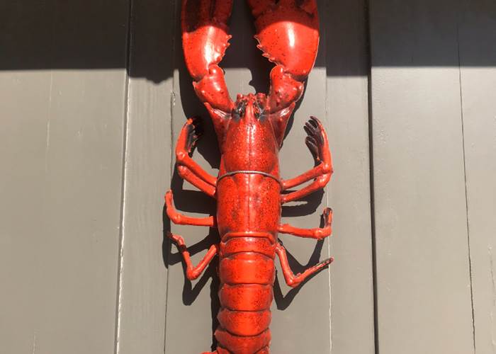 un homard