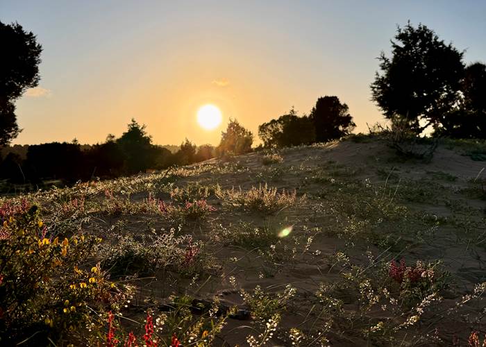 nature walks essaouira-page
