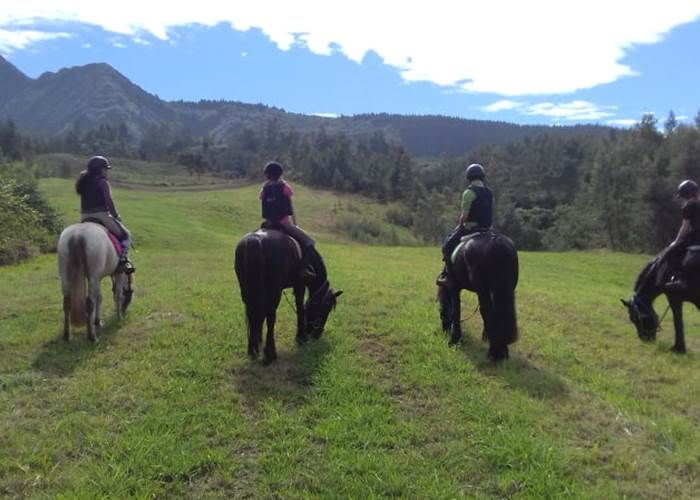 centre equestre de la fenetre