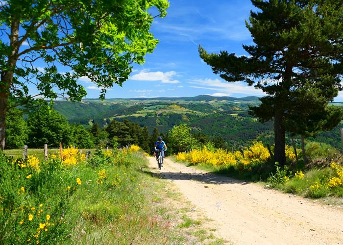 Ballade en VTT sur les chemins de Margeride