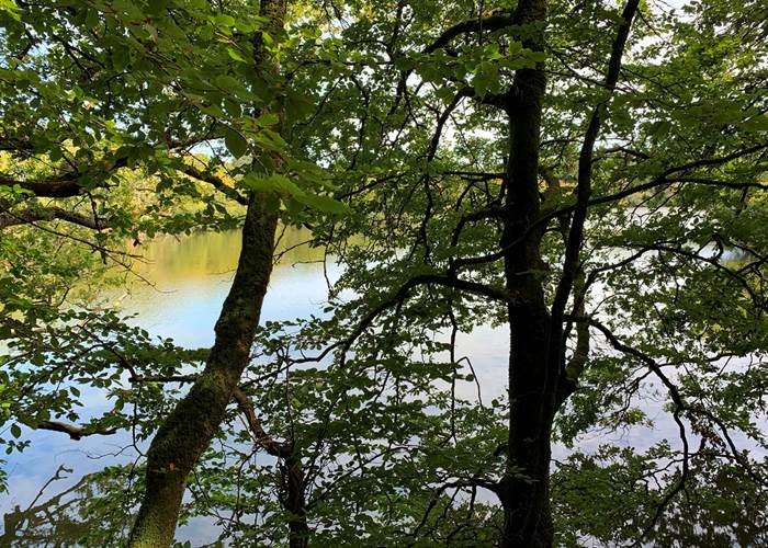 Ploemeur - Etangs et bois du Ter - 3