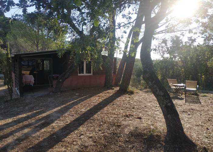 Bois de Santal 1 (1)