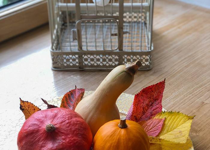 saison automnale à la demeure du Porzou