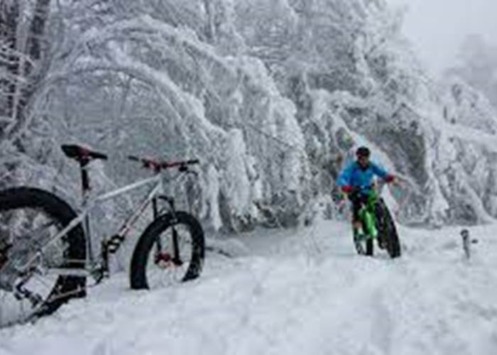 Fat bike