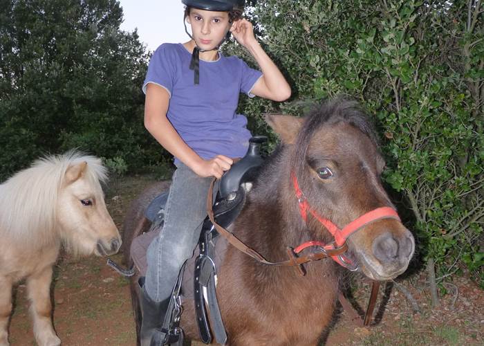 Découverte de nos poneys