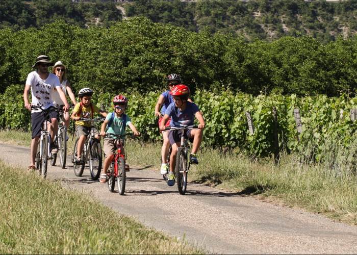 velo-vignes-tarn-marssac-albi-16 bis-gite-hotel-news