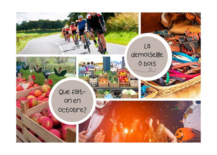 Les activités du mois d'octobre