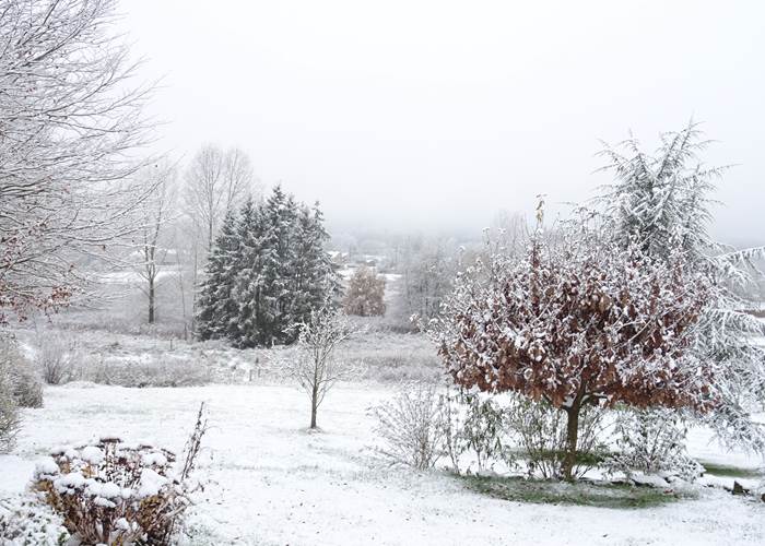 Jardin du gîte 1 sous la neige
