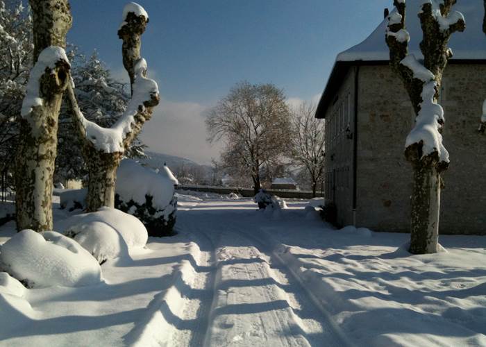 Allée en hiver