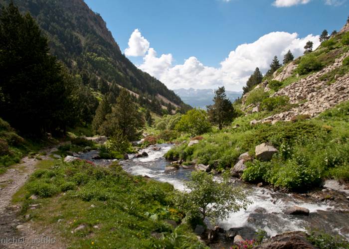 L'Été à Font-Romeu