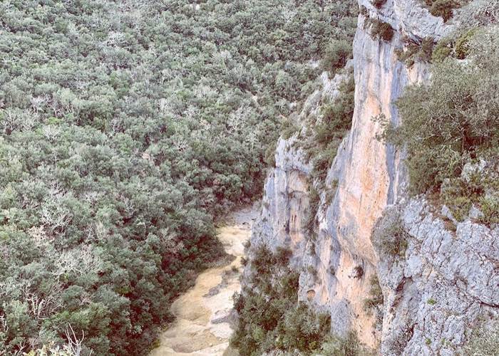 Les gorges creusées dans le calcaire