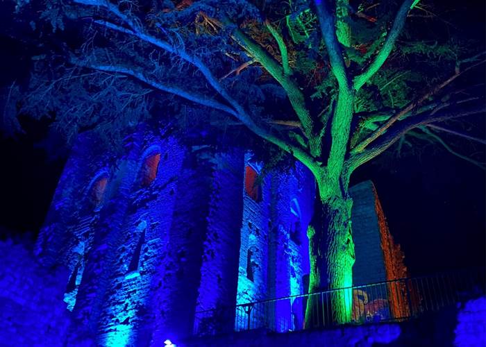 DONJON de MONTRICHARD