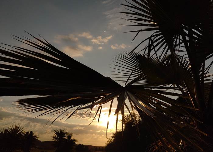 Il fait bon vivre à Le Coq du Nord-Mailhac