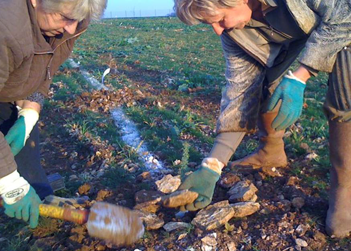 Isabelle et sa maman, plantation de la truffière