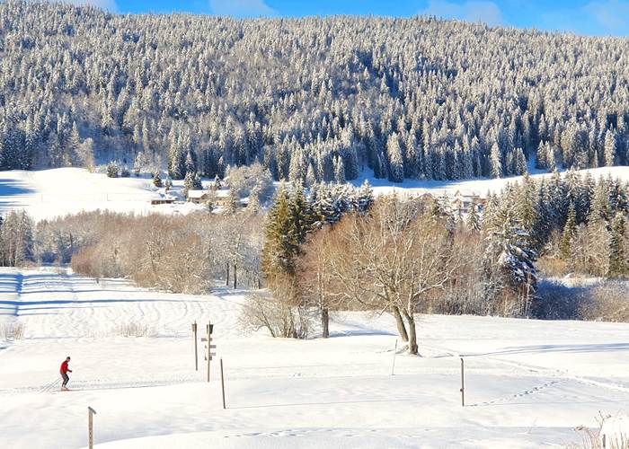 les pistes de la GTJ ski de fond passent dans le jardin