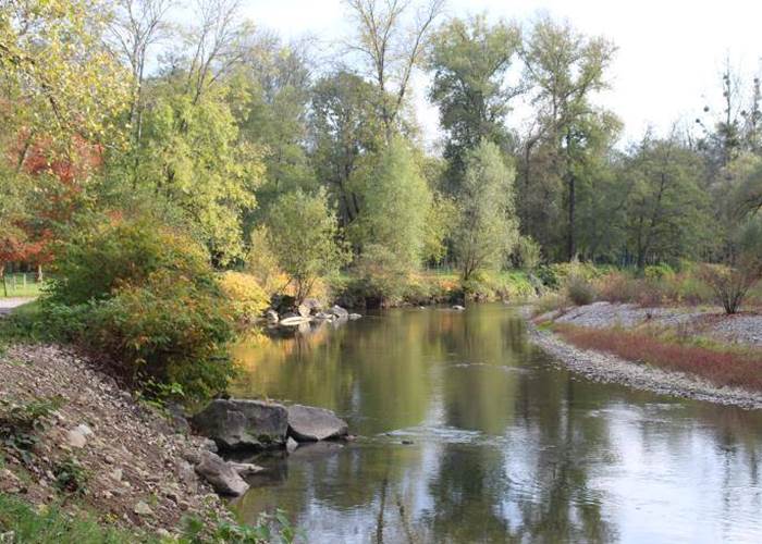 49 Piémont oloronais handi