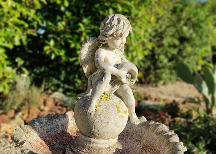 Minéral & Végétal côté nord-page