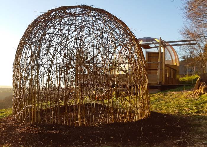 Gloriette en osier vivant