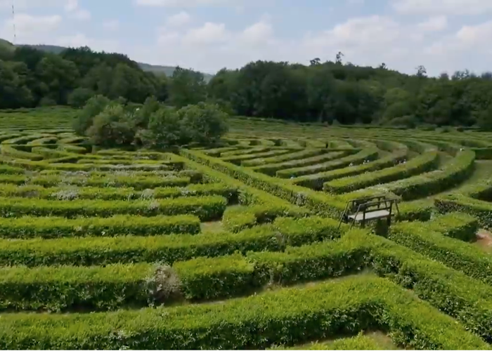 Labyrinthe Géant des Monts de Guéret-news