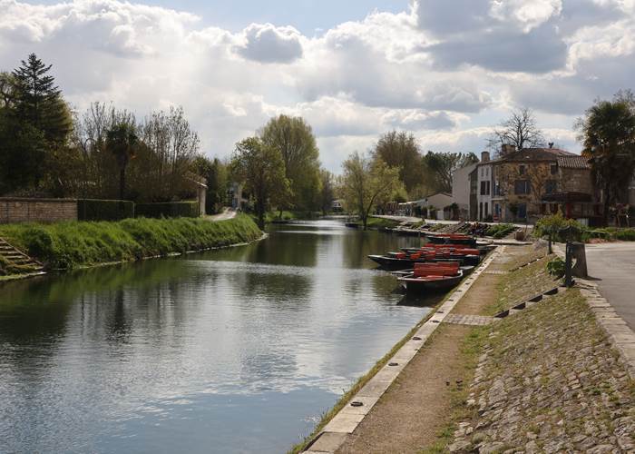 Coulon