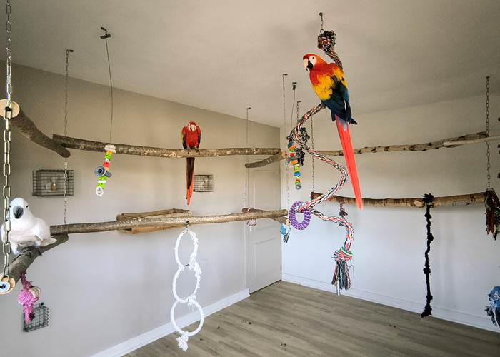 perroquets maison d’hôtes La Flèche expérience unique Sarthe