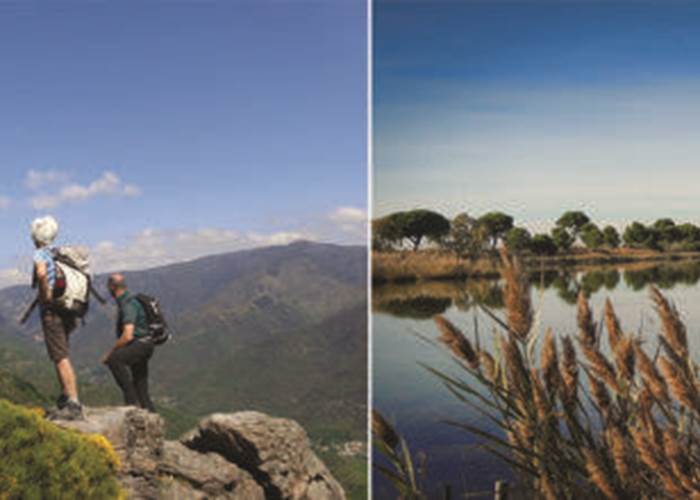 FIRA-des-Cévennes-à-la-Camargue-390x220