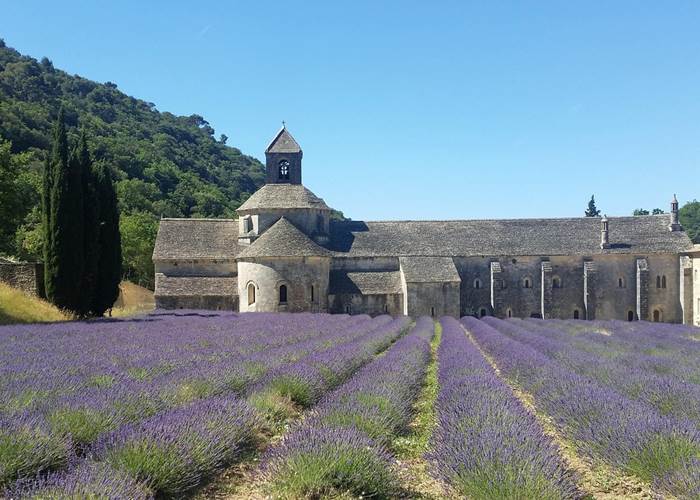 Abbaye de Sénanque